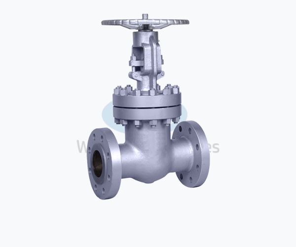 Gate valve – Wellcast Industries