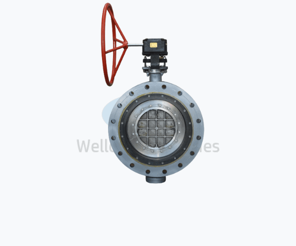 Double-offset-Butterfly-valve